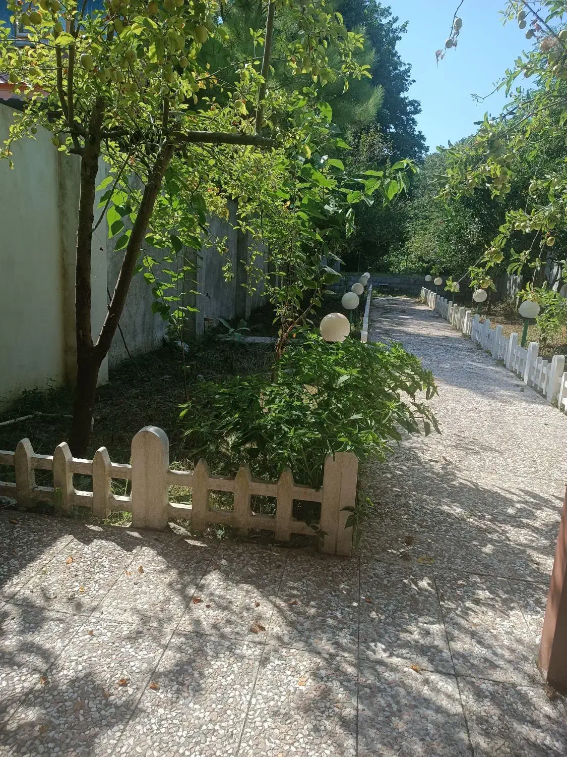 ویلای ساحلی سند دار ۱۰۰ قدمی ساحل شفارود|فروش خانه و ویلا|رضوانشهر, |دیوار