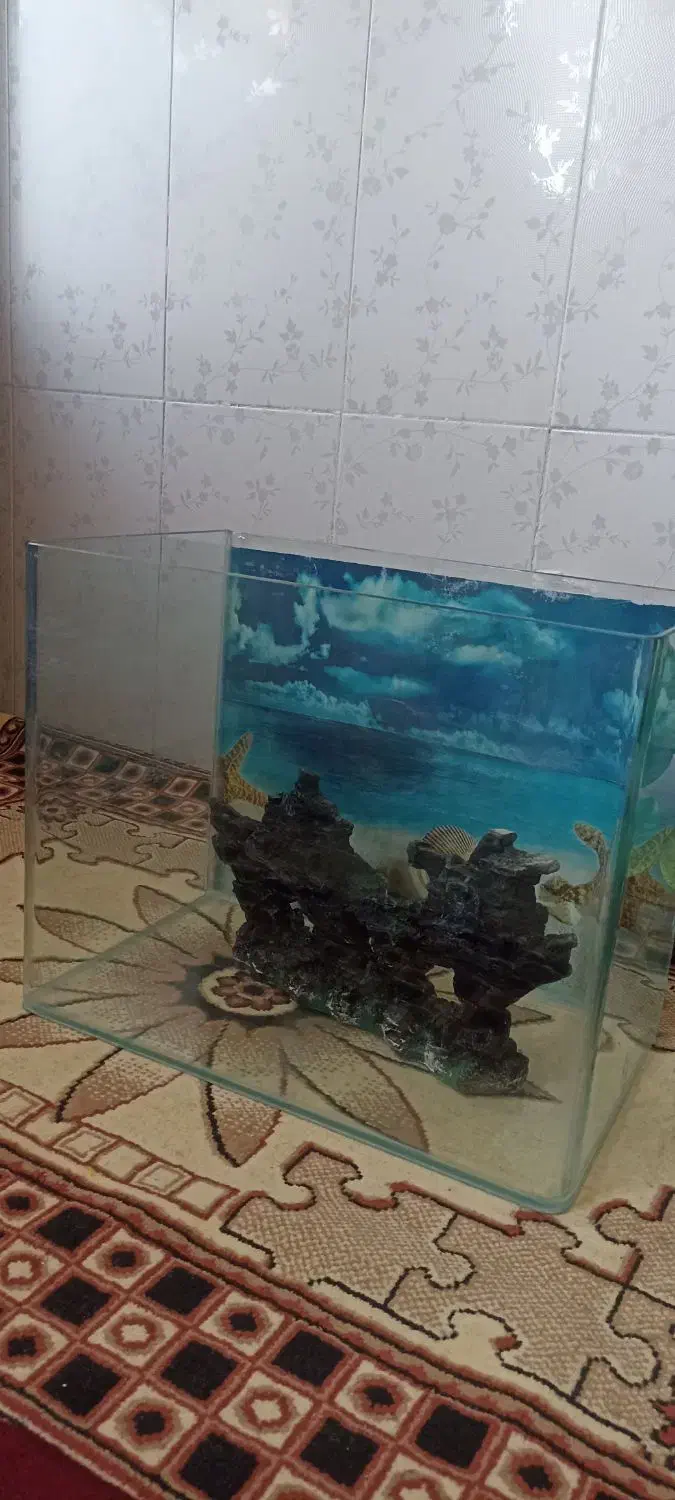 آکواریوم شیشه خم بالوازم|ماهی|نسیم‌شهر, |دیوار