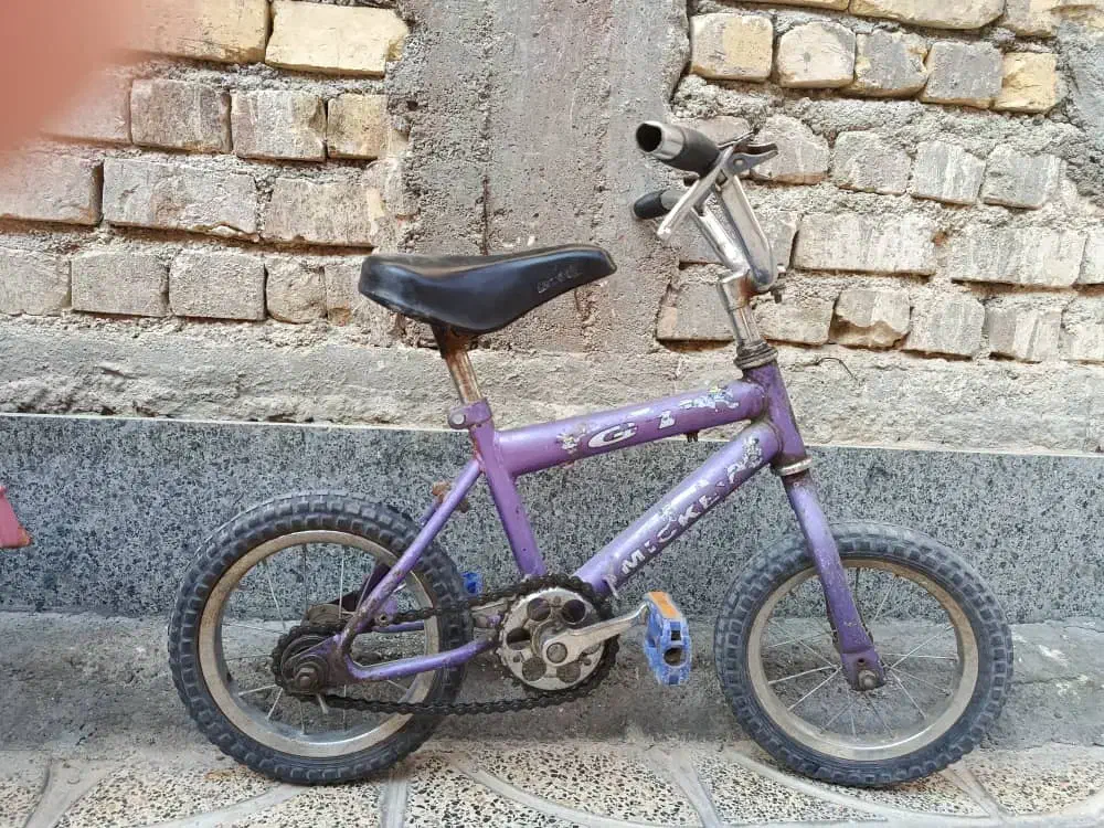 دوچرخه|دوچرخه، اسکیت، اسکوتر|مرودشت, فرهنگ|دیوار