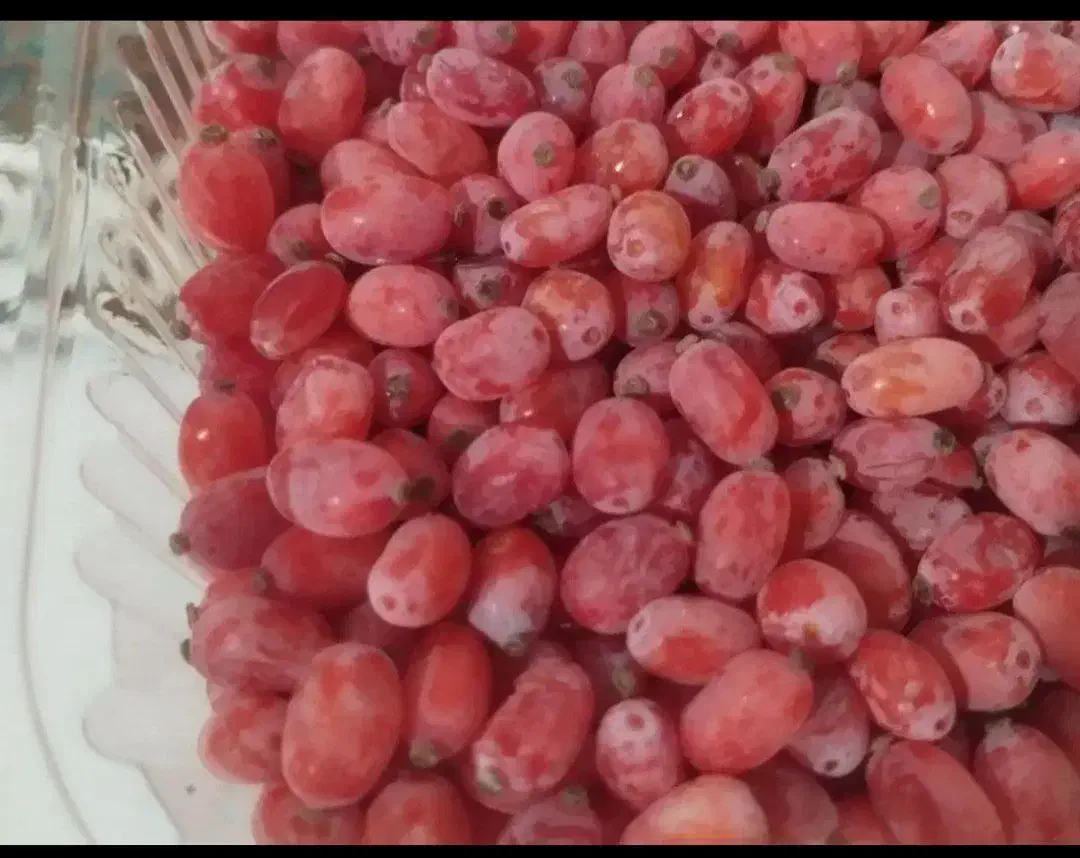 زرشک تازه دانه شده با دست بدون دم و برگ کیلو ۲۲۰|خوردنی و آشامیدنی|تهران, ترمینال جنوب|دیوار