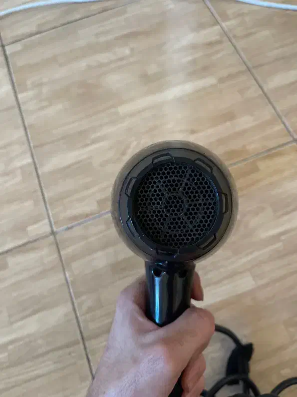 سشوارpromax|آرایشی، بهداشتی، درمانی|رشت, دیلمان|دیوار