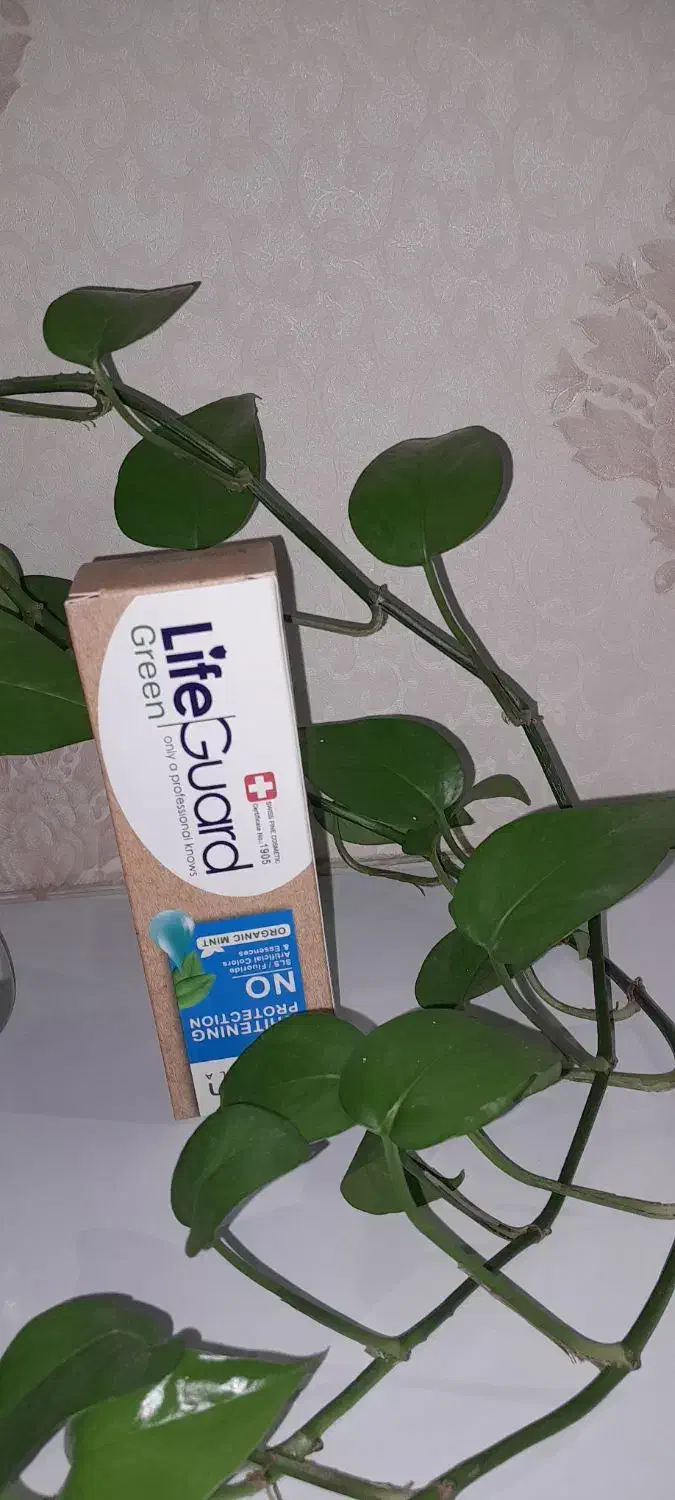 خمیردندان|آرایشی، بهداشتی، درمانی|بیرجند, |دیوار