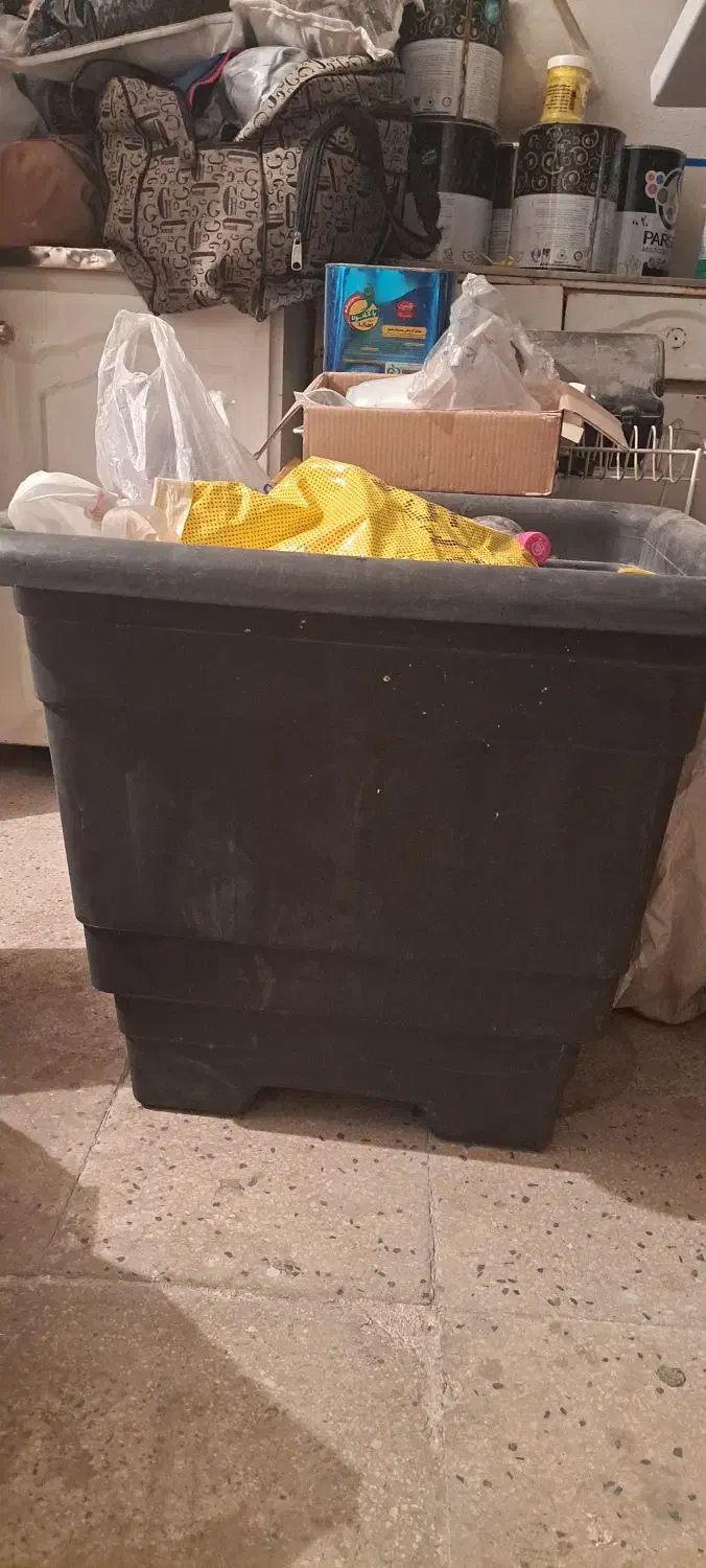 گلدان|گل و گیاه طبیعی|ساوه, |دیوار