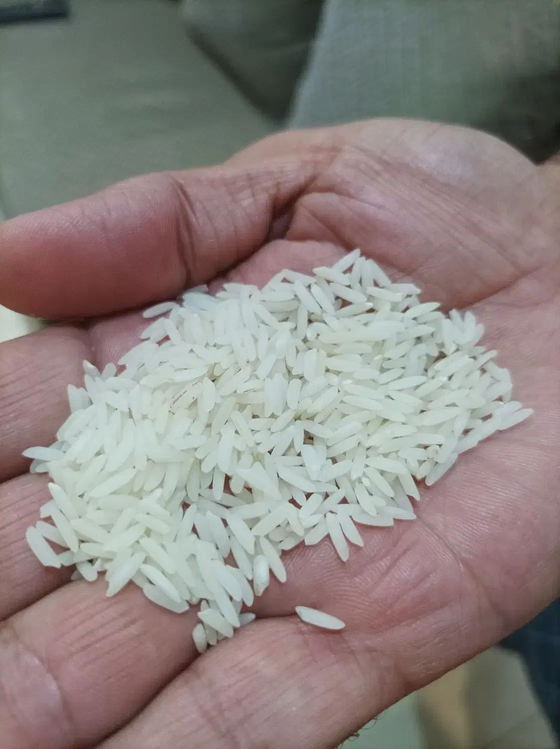 برنج هاشمی|خوردنی و آشامیدنی|رشت, فلسطین|دیوار
