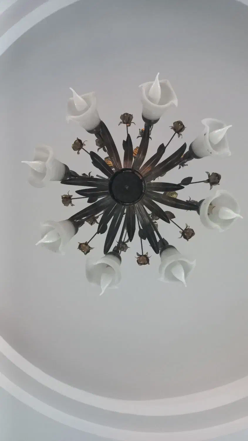 دو عدد لوستر ۵ و۸ شعله|لوستر و چراغ آویز|تهران, سازمان آب|دیوار