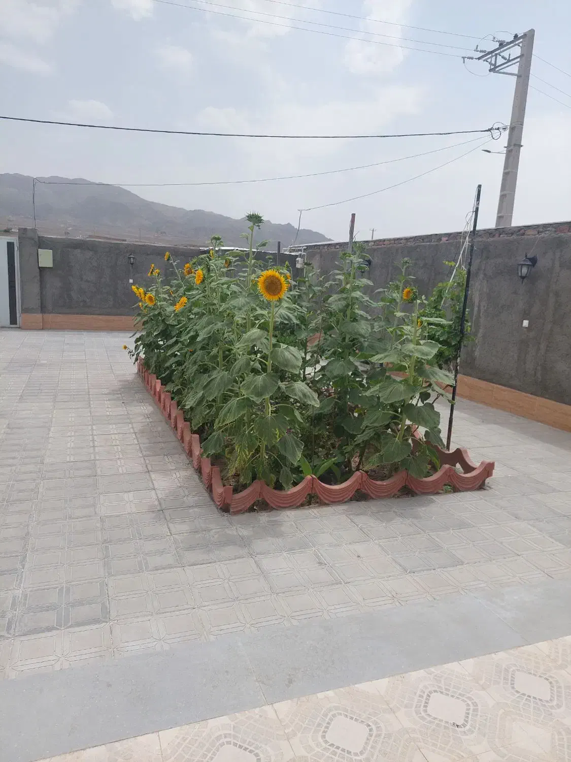 مهمانپذیر سوئیت باغ ویلا|اجارهٔ کوتاهمدت آپارتمان و سوئیت|بیرجند, |دیوار