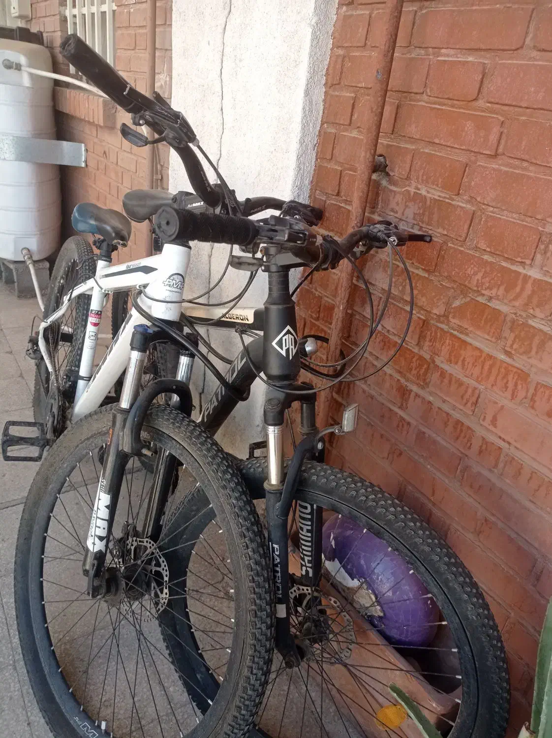 فروش دوچرخه|دوچرخه، اسکیت، اسکوتر|شیراز, زرهی|دیوار