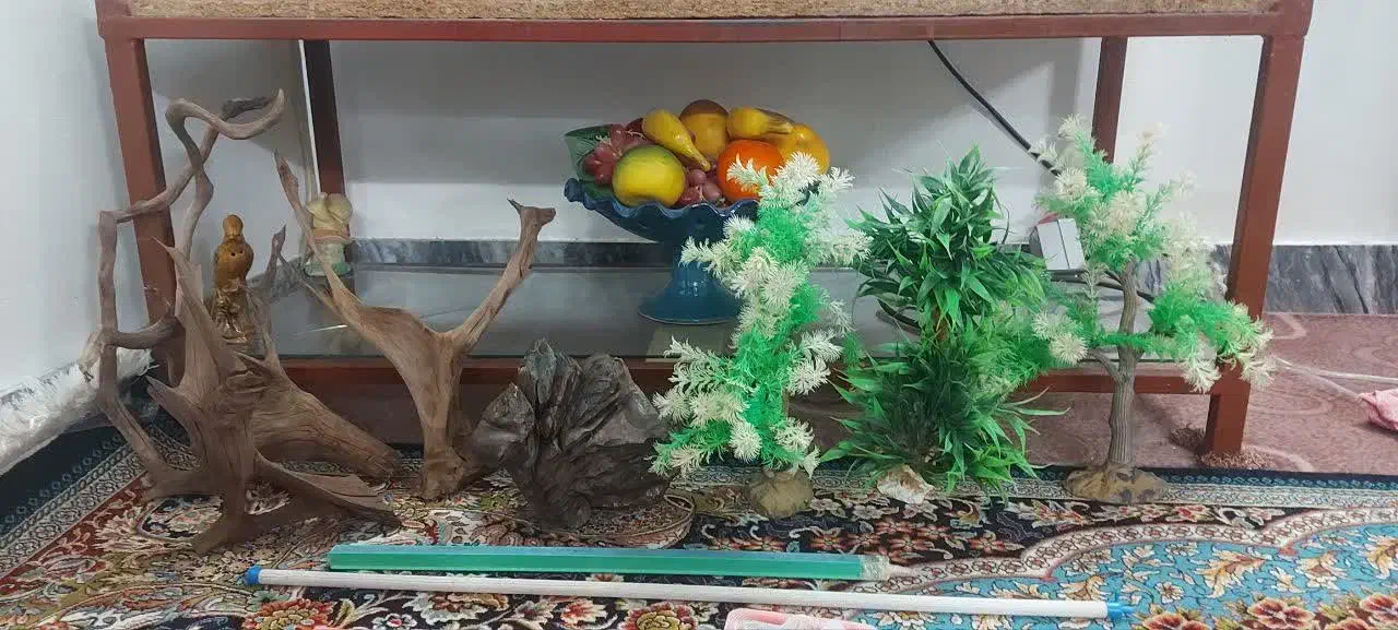 آکواریوم باپایه وهمه وسایلش|ماهی|بروجرد, |دیوار