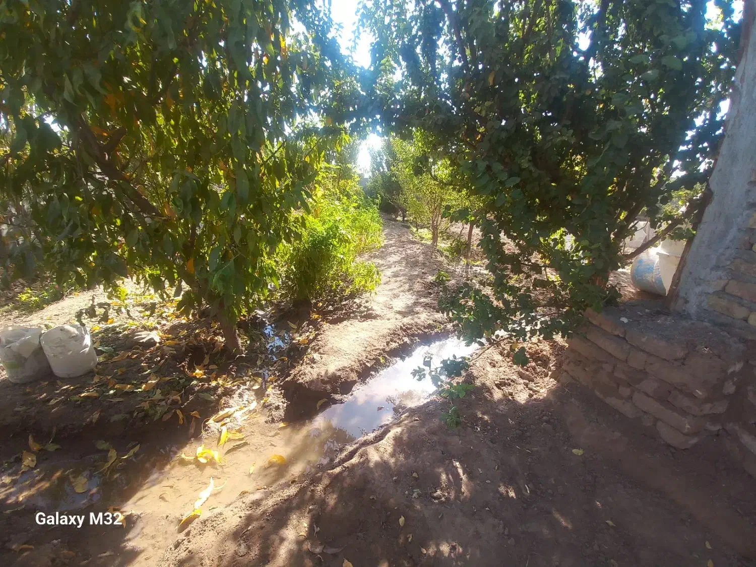 باغچه ۴۰۰متری|فروش خانه و ویلا|شریف‌آباد, |دیوار