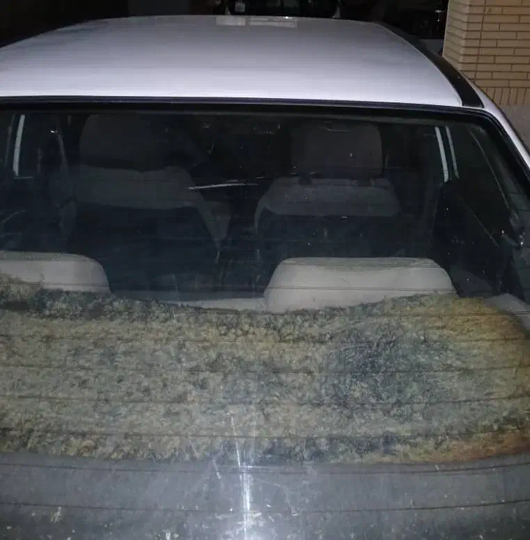 دوو|خودرو سواری و وانت|شیراز, لاله|دیوار