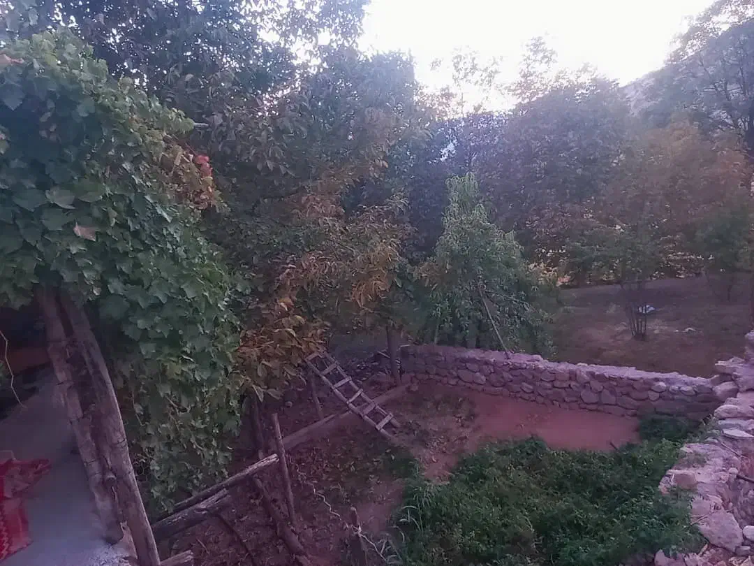 خانه ی اجاره ای|اجارهٔ خانه و ویلا|پاتاوه, |دیوار