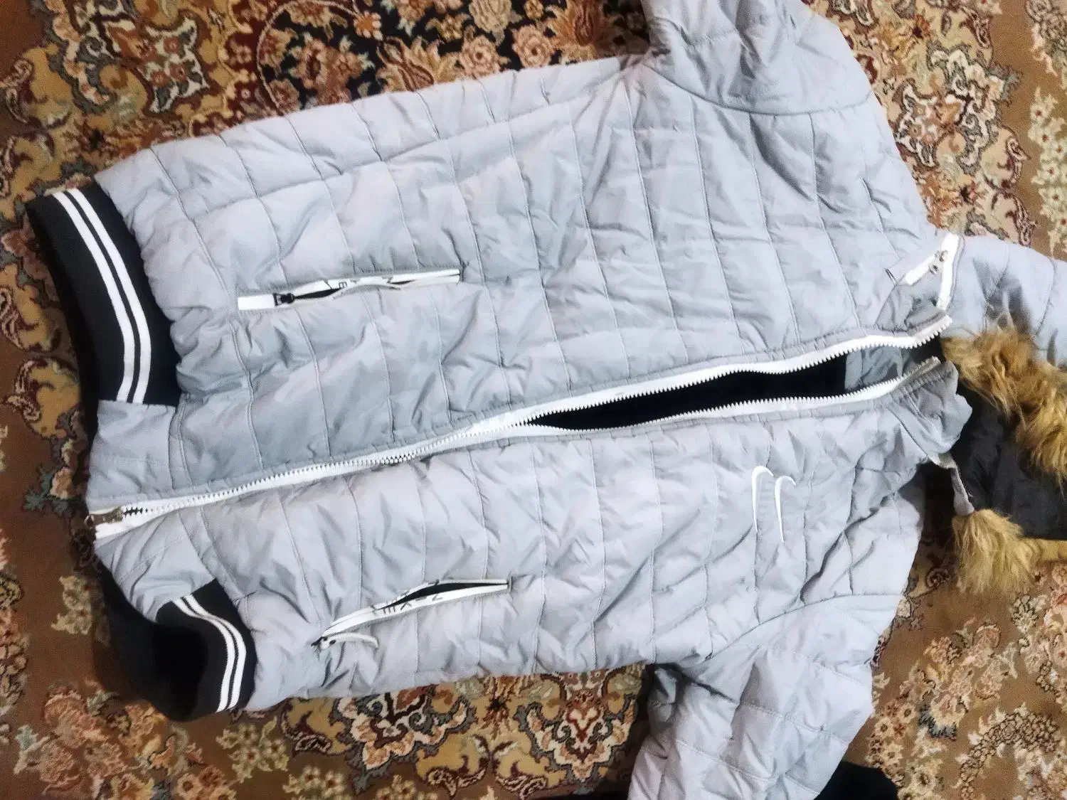 کاپشن|لباس|خرمآباد, |دیوار