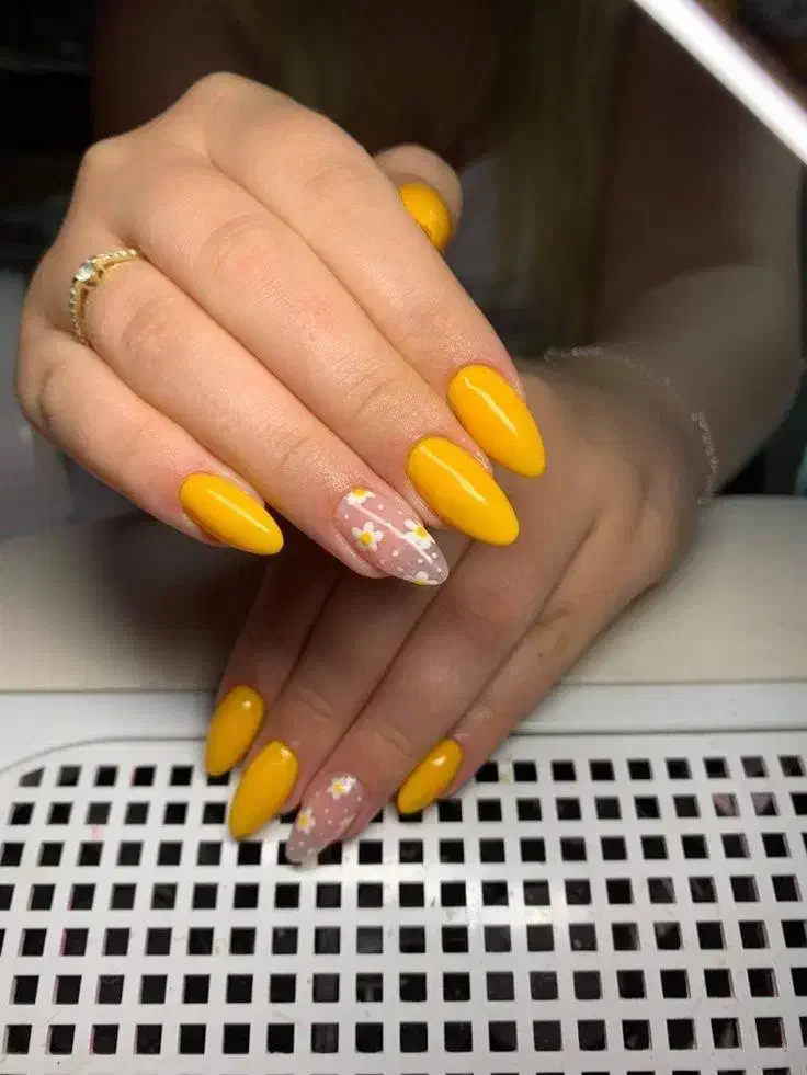 خدمات تخصصی ناخن تخفیف پاییزی|خدمات آرایشگری و زیبایی|رشت, توشیبا|دیوار