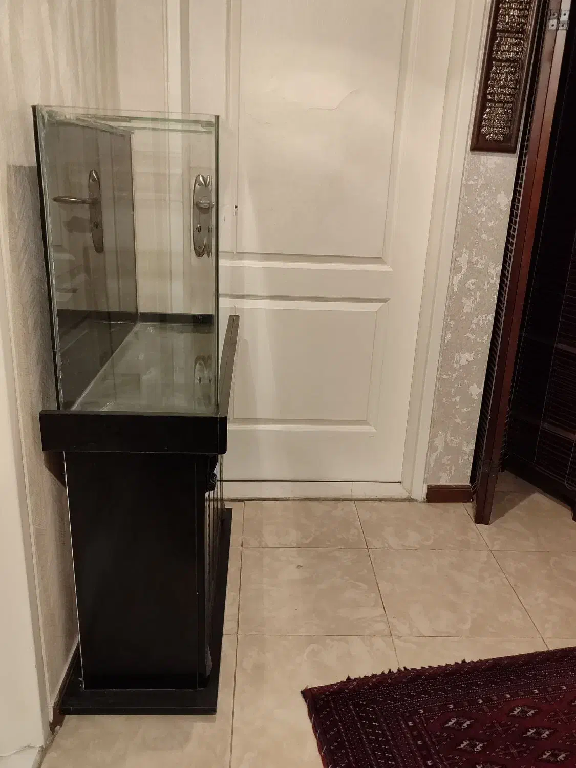 آکواریم|ماهی|تهران, کوی بیمه|دیوار