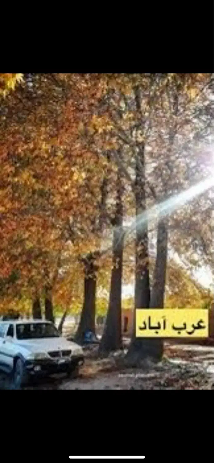 فروش آب از چاه زینل اباد(عرب اباد)|فروش زمین و ملک کلنگی|ماهان, |دیوار