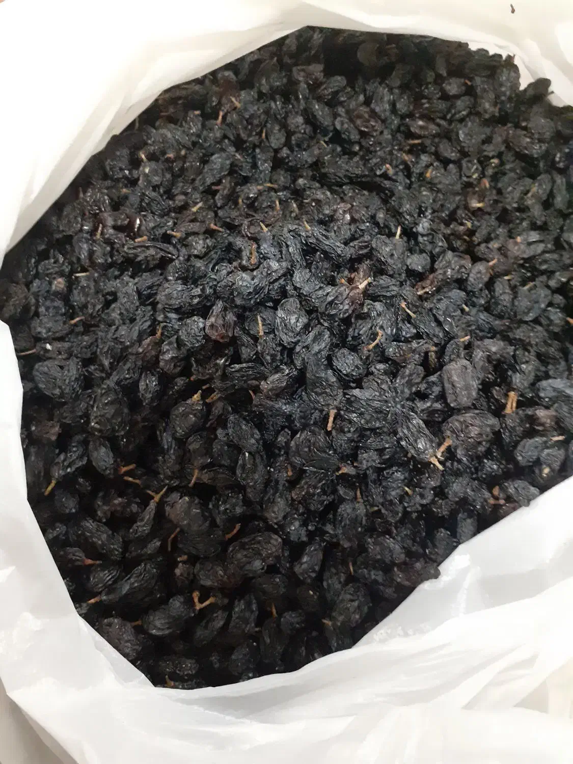 مویز|خوردنی و آشامیدنی|محمدیار, |دیوار