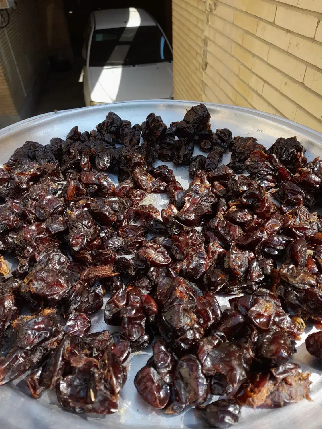 خرما خنیزی و گواردیال و بی هسته|عمدهفروشی|بندرعباس, |دیوار