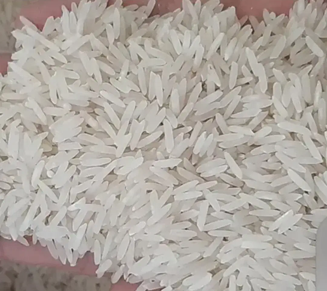 برنج فجر سوزنی ۹۰ روزه درجه یک|خوردنی و آشامیدنی|گرگان, |دیوار