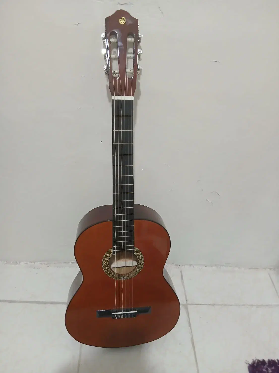 گیتار یاماها c40|گیتار، بیس، امپلیفایر|رشت, کاکتوس|دیوار