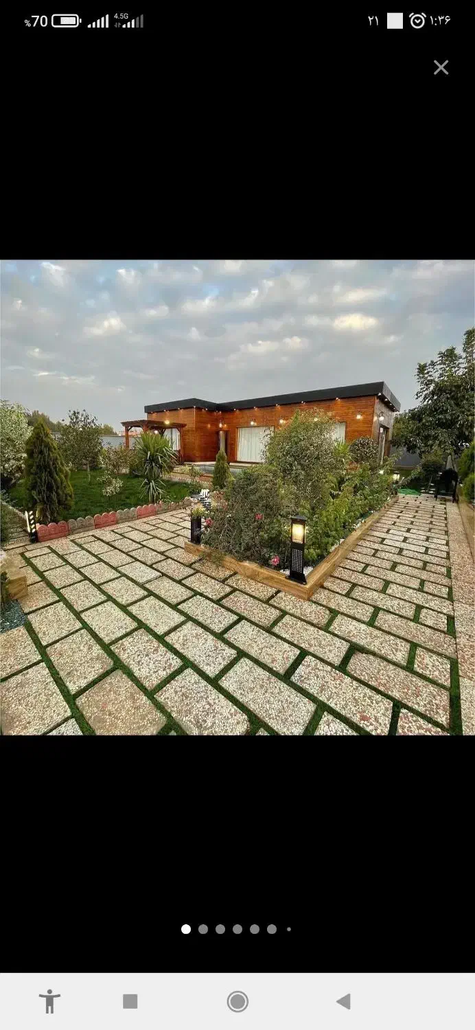 سگ پیدا شده حوالی کوهسار|حیوانات|کوهسار (البرز), |دیوار