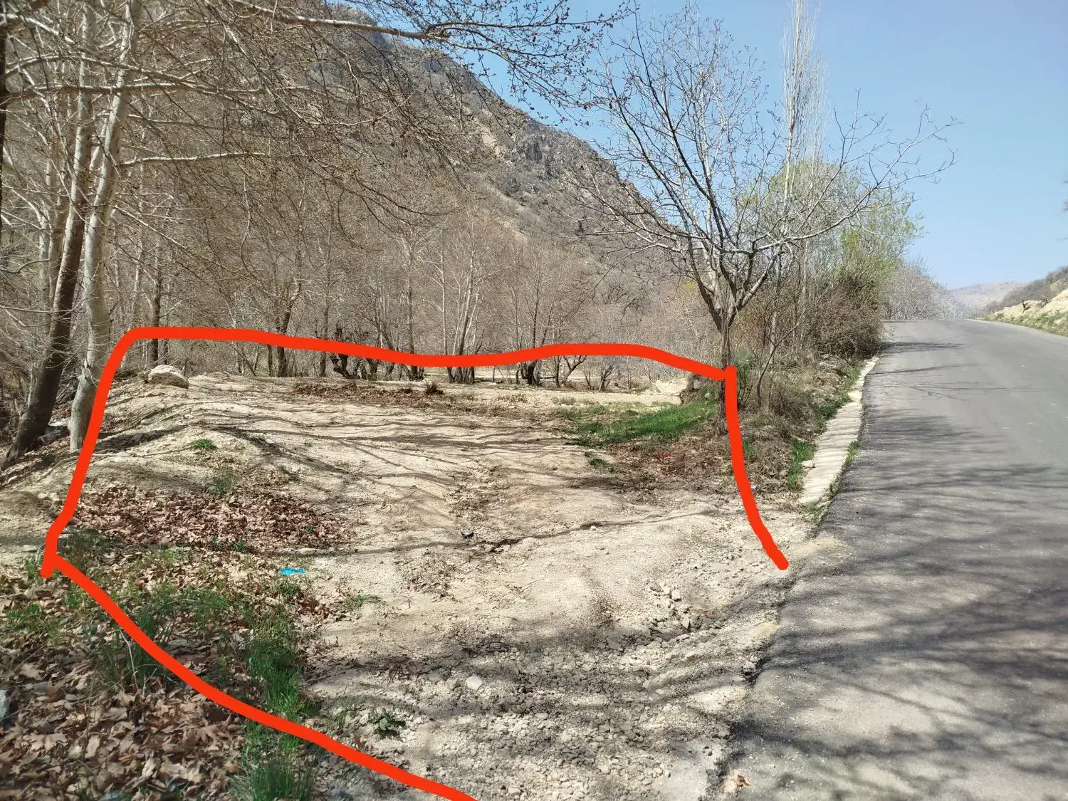 زمین کشاورزی و برنجکاری|فروش زمین و ملک کلنگی|پاتاوه, |دیوار