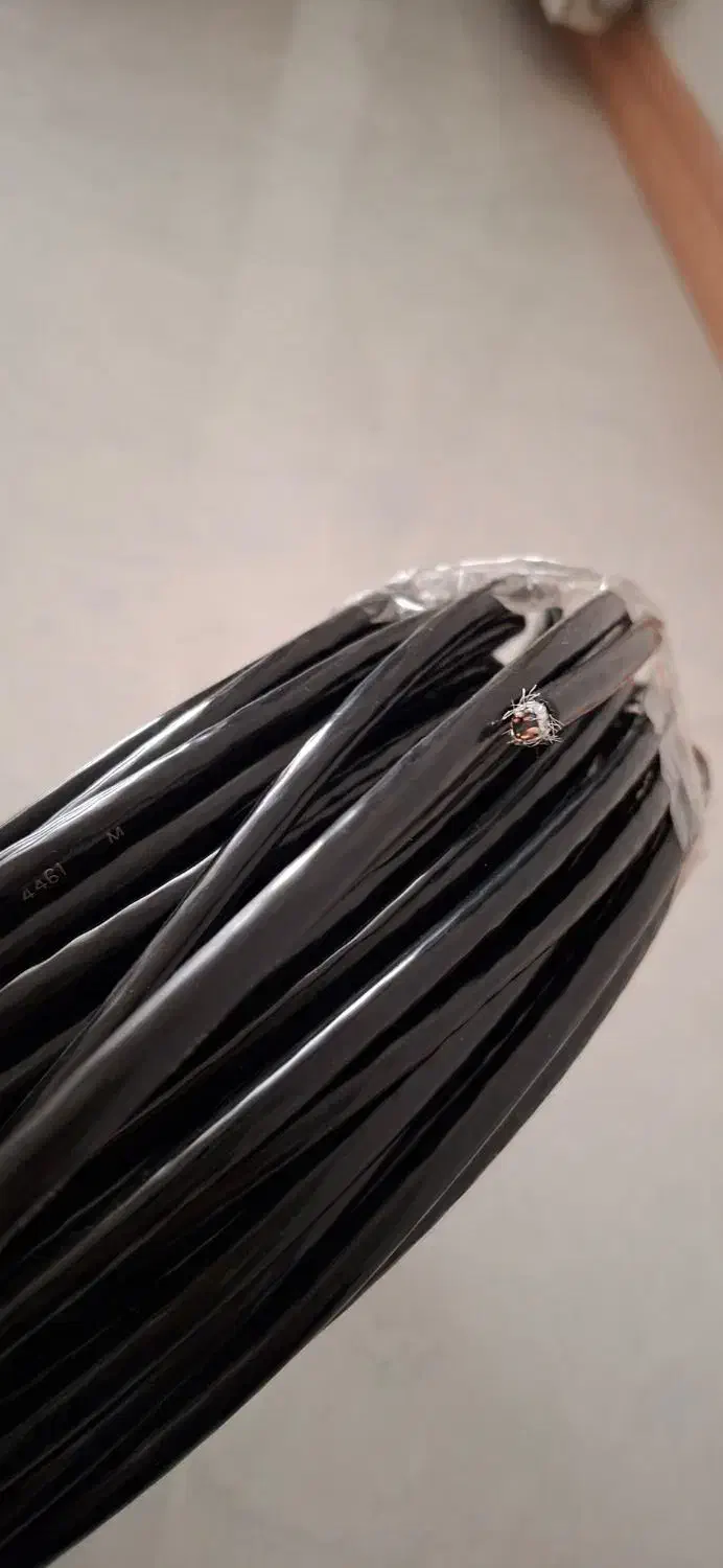 کابل شبکه|مودم و تجهیزات شبکه|شیراز, کلاهدوز|دیوار