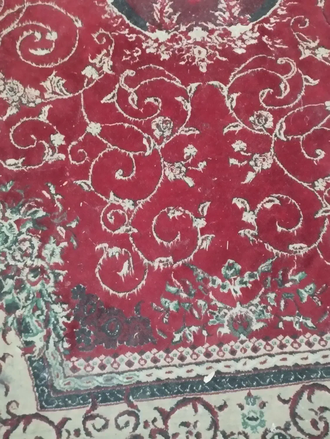 فرش ماشینی|فرش|شیراز, شیخ علی چوپان|دیوار