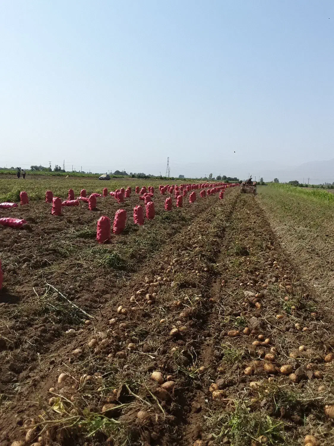 زمین|فروش دفتر صنعتی، کشاورزی، تجاری|لالجین, |دیوار