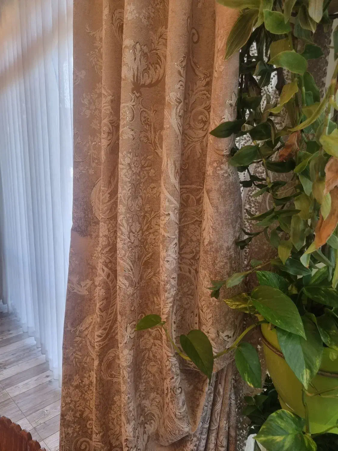 پرده دولایه کلاسیک|پرده، رانر، رومیزی|آستارا, |دیوار