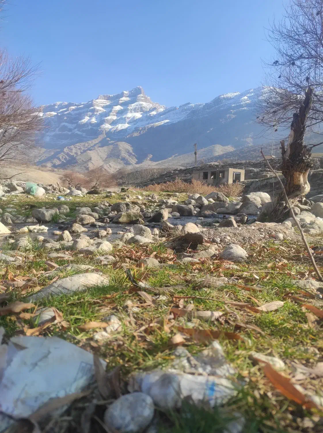 بنا سیمان کار|خدمات پیشه و مهارت|دورود, |دیوار