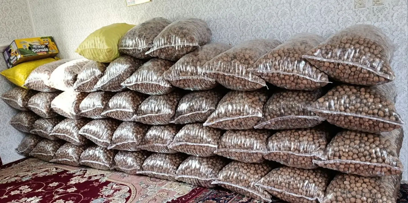 گردو|عمده‌فروشی|مرند, |دیوار