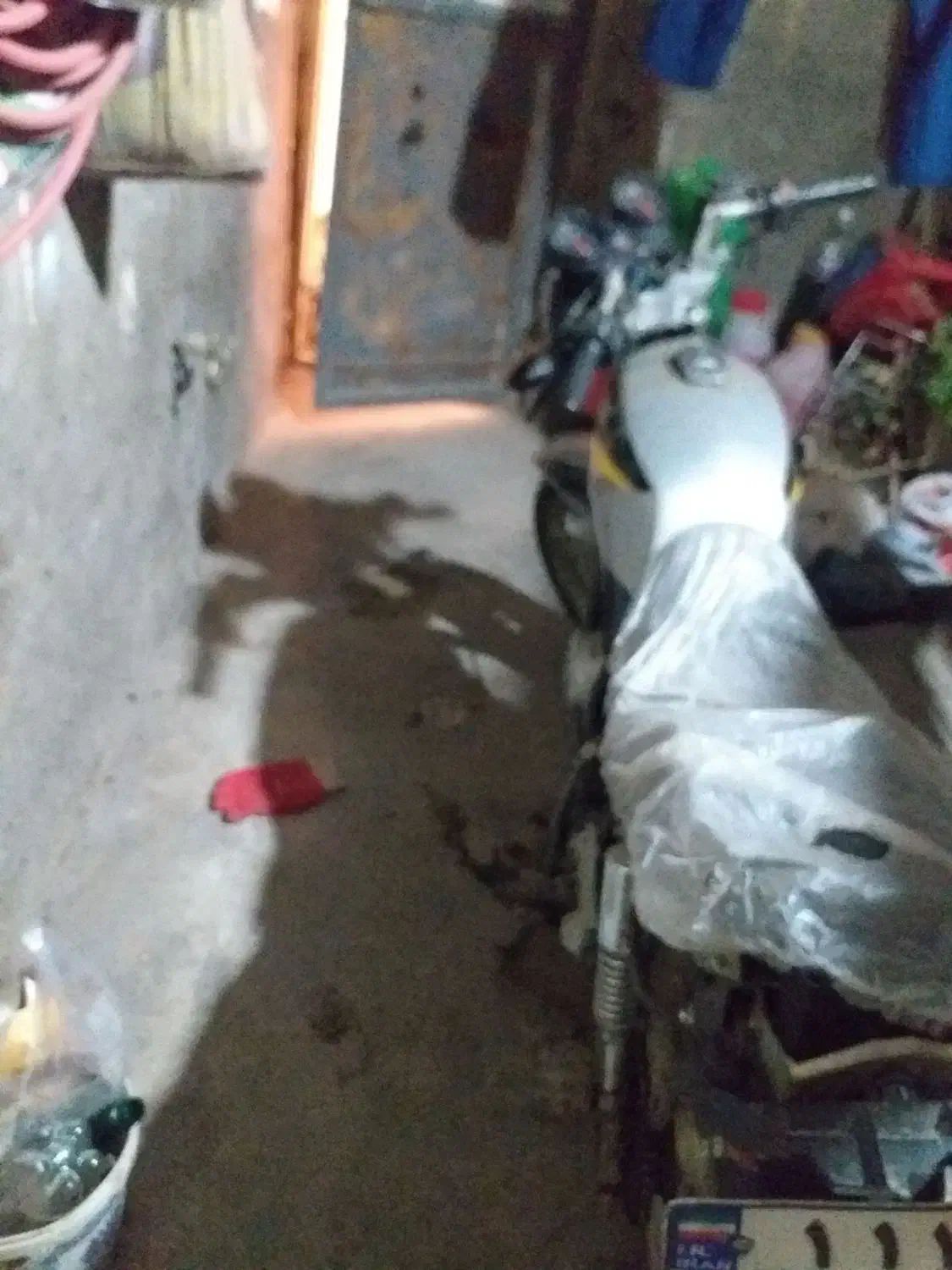 موتور پالس پلاک ملی|موتورسیکلت|مشهد, شهید جنگی|دیوار