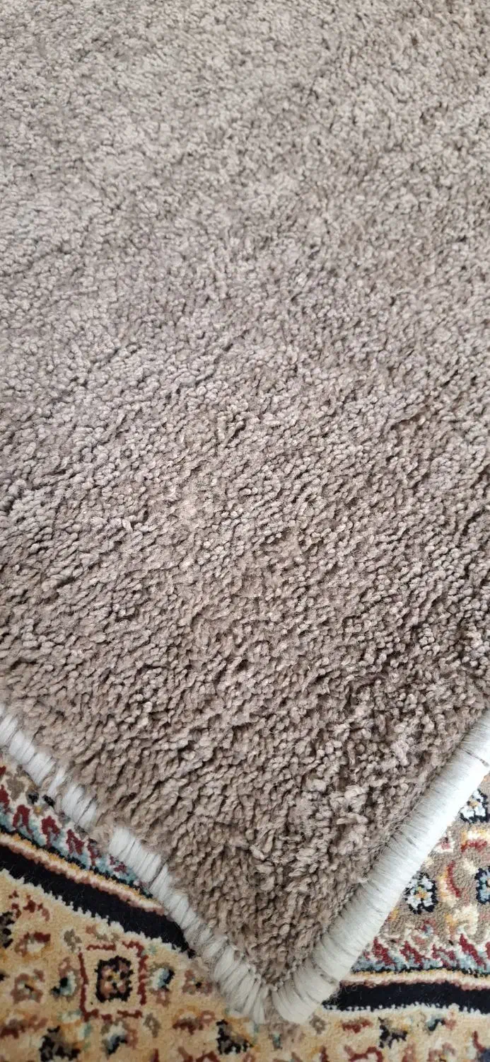 موکت پالاز رنگ موکا|موکت|مشهد, هفت تیر (نه دره)|دیوار