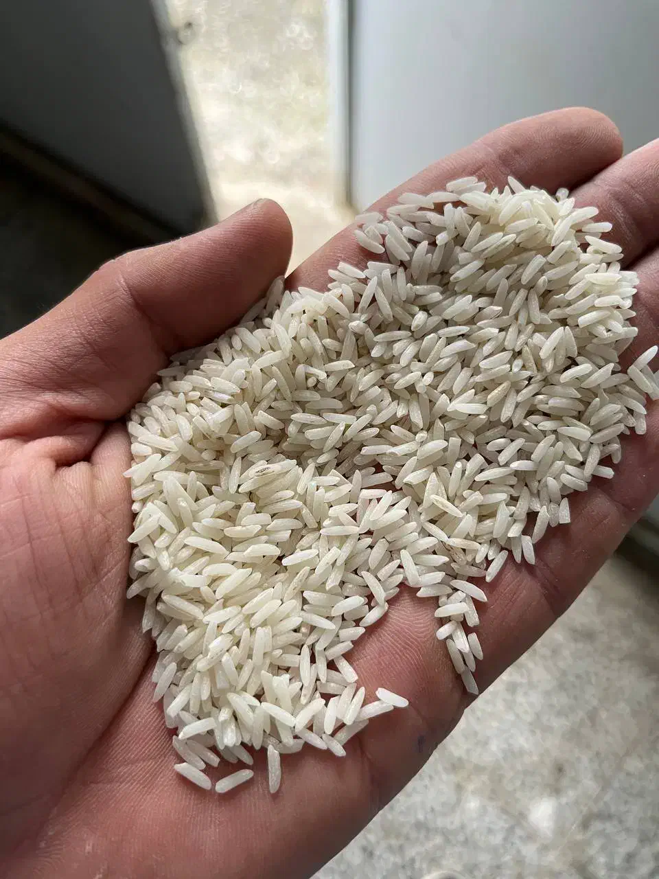 برنج اصیل ایرانی|خوردنی و آشامیدنی|یزد, |دیوار