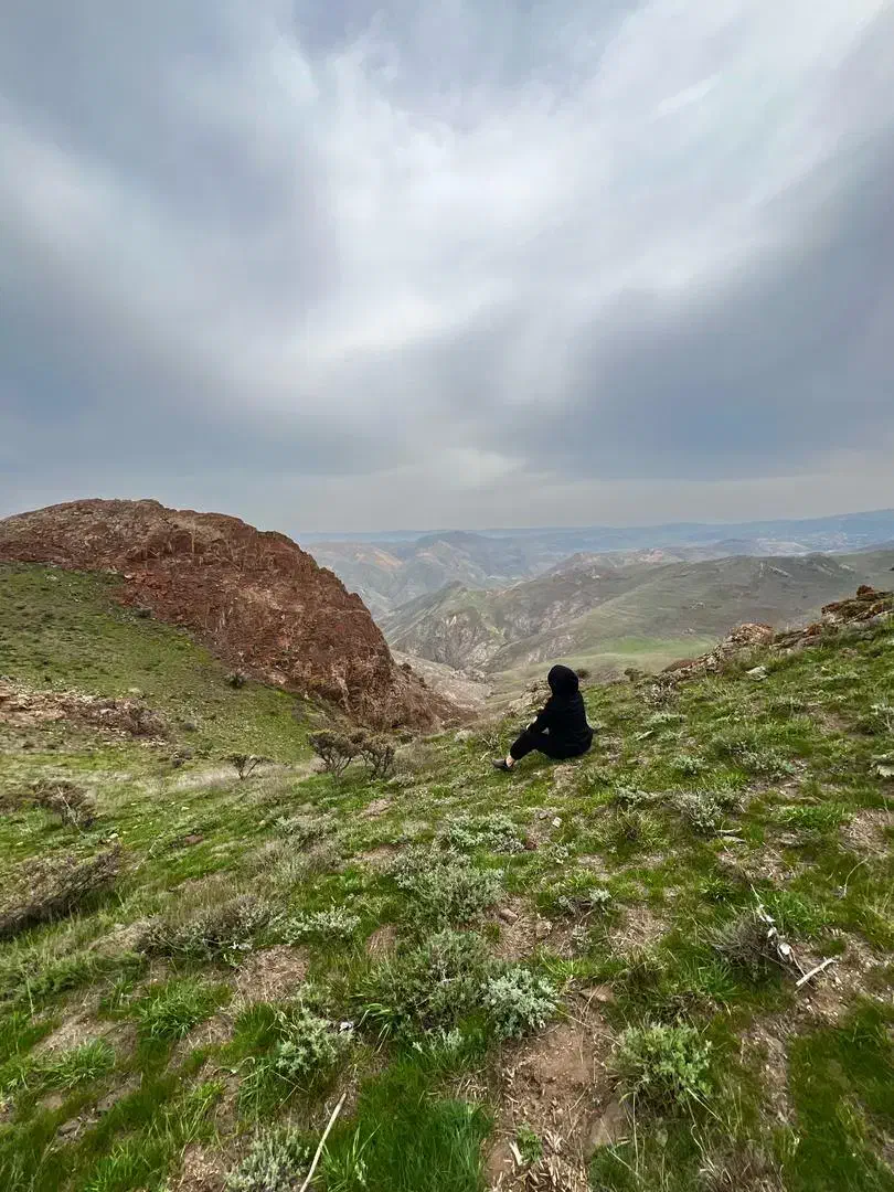 کارگر خانم جهت نضافت|خدمات نظافت|رباطکریم, پرندک|دیوار