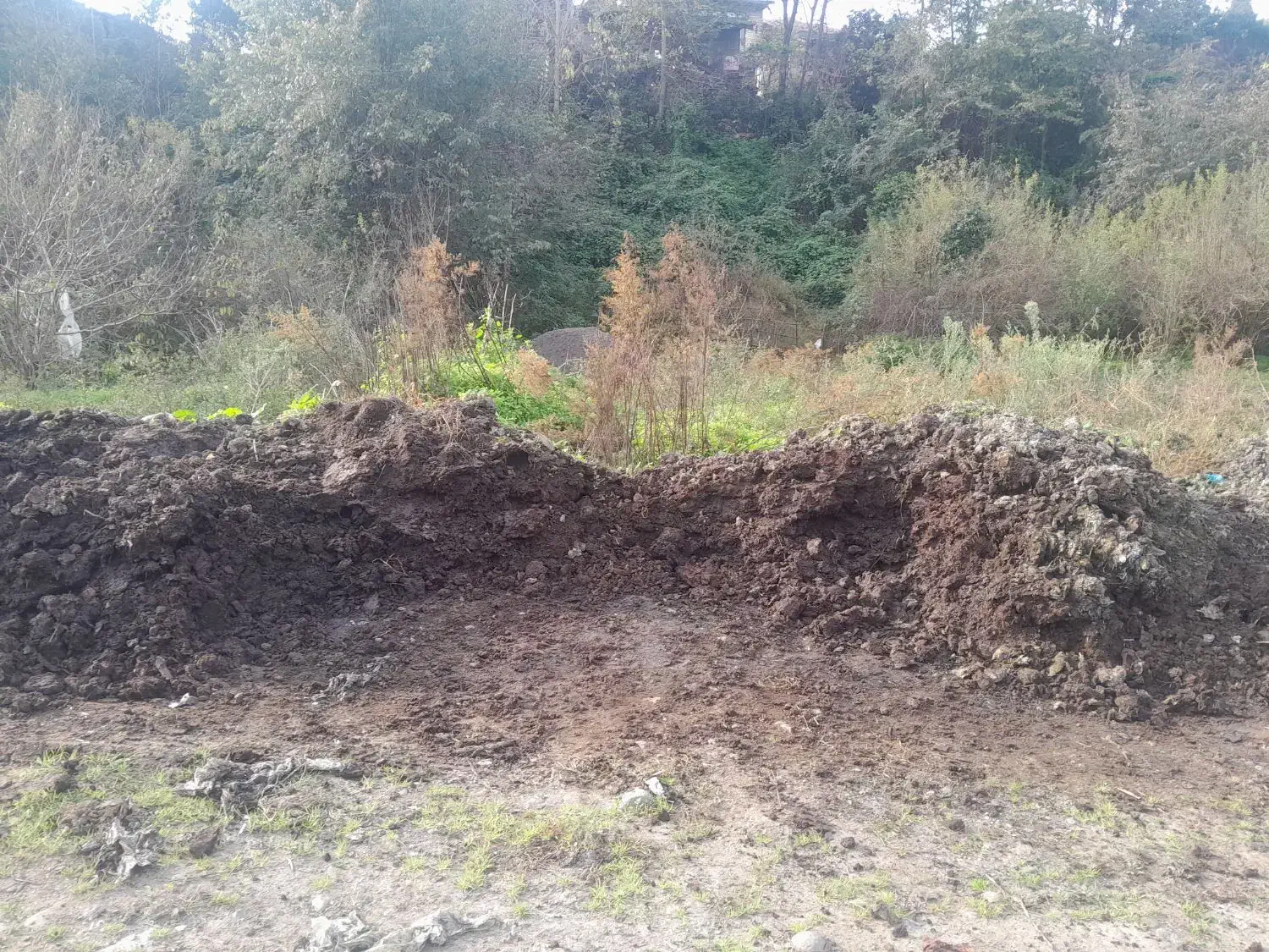 کودحیوانی پوسیده وخاک باغچه|حراج|املش, |دیوار