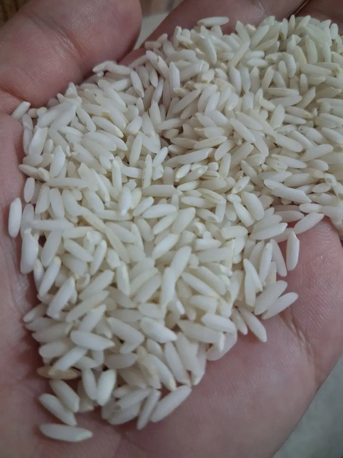 برنج سالم علی کاظمی|خوردنی و آشامیدنی|سنگر, |دیوار