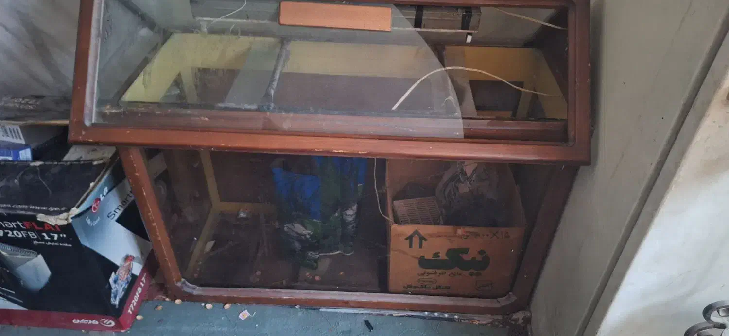 آکواریوم|ماهیگیری|مشهد, پنجتن|دیوار