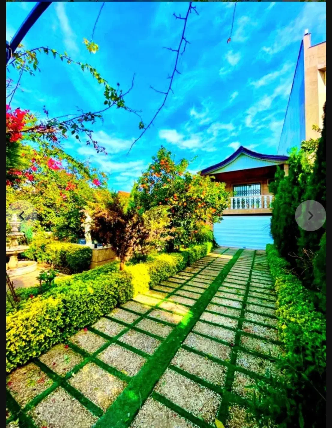 *700میلیون زیرقیمت*باغ جنگلی کوهستانی/پردرخت میوه|فروش خانه و ویلا|امامزاده عبدالله, |دیوار