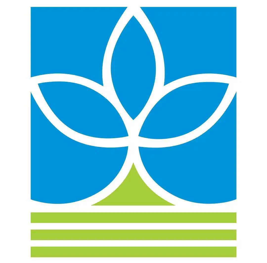 نیازمند سرمایه گذار / شراکت در آموزشگاه زبان|استخدام مالی، حسابداری، حقوقی|تهران, باغ فیض|دیوار