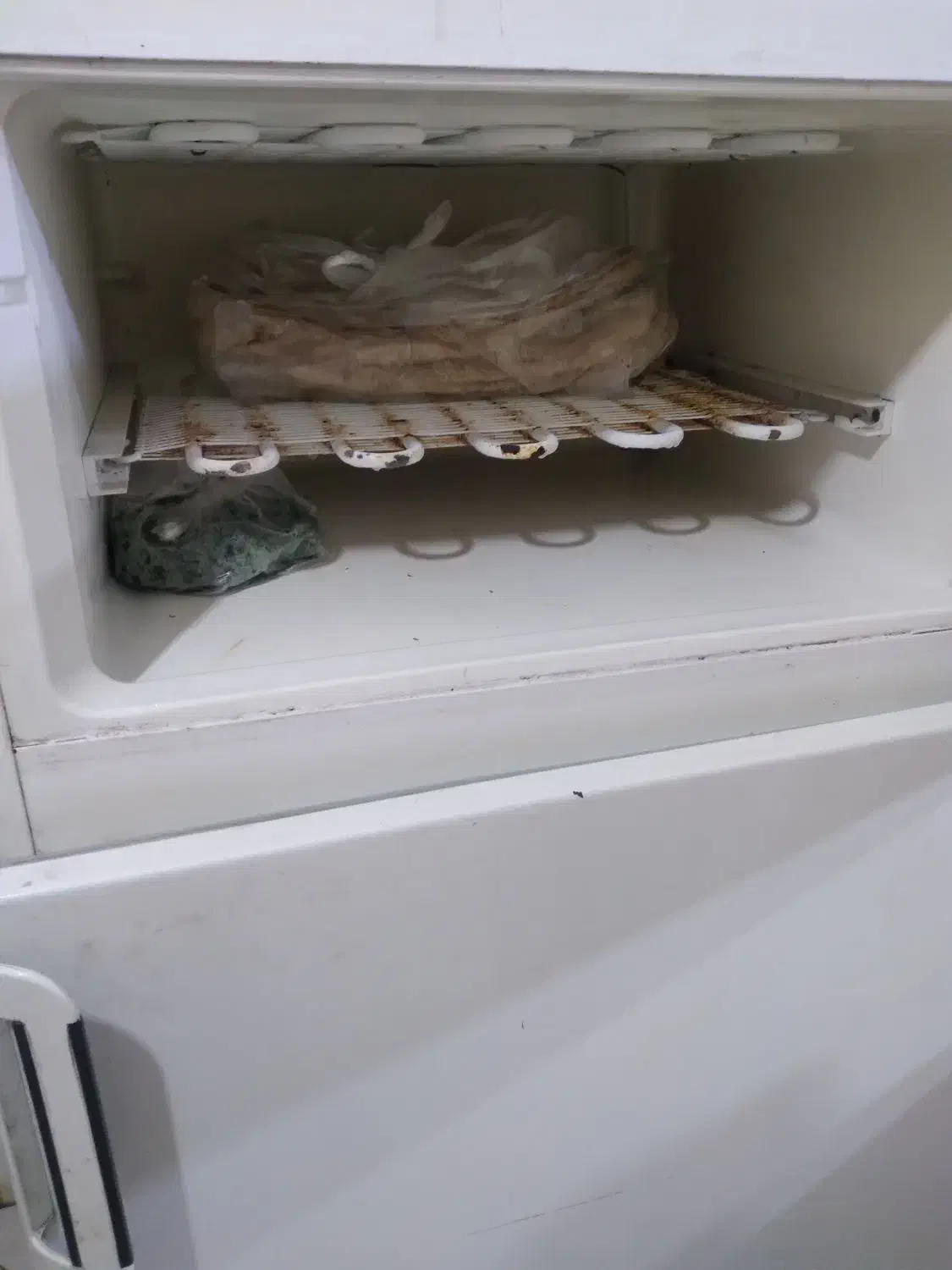 یخچال بوژان سالم|یخچال و فریزر|گلبهار, شهر جدید گلبهار|دیوار