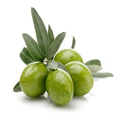 زیتون|خوردنی و آشامیدنی|آق قلا, |دیوار