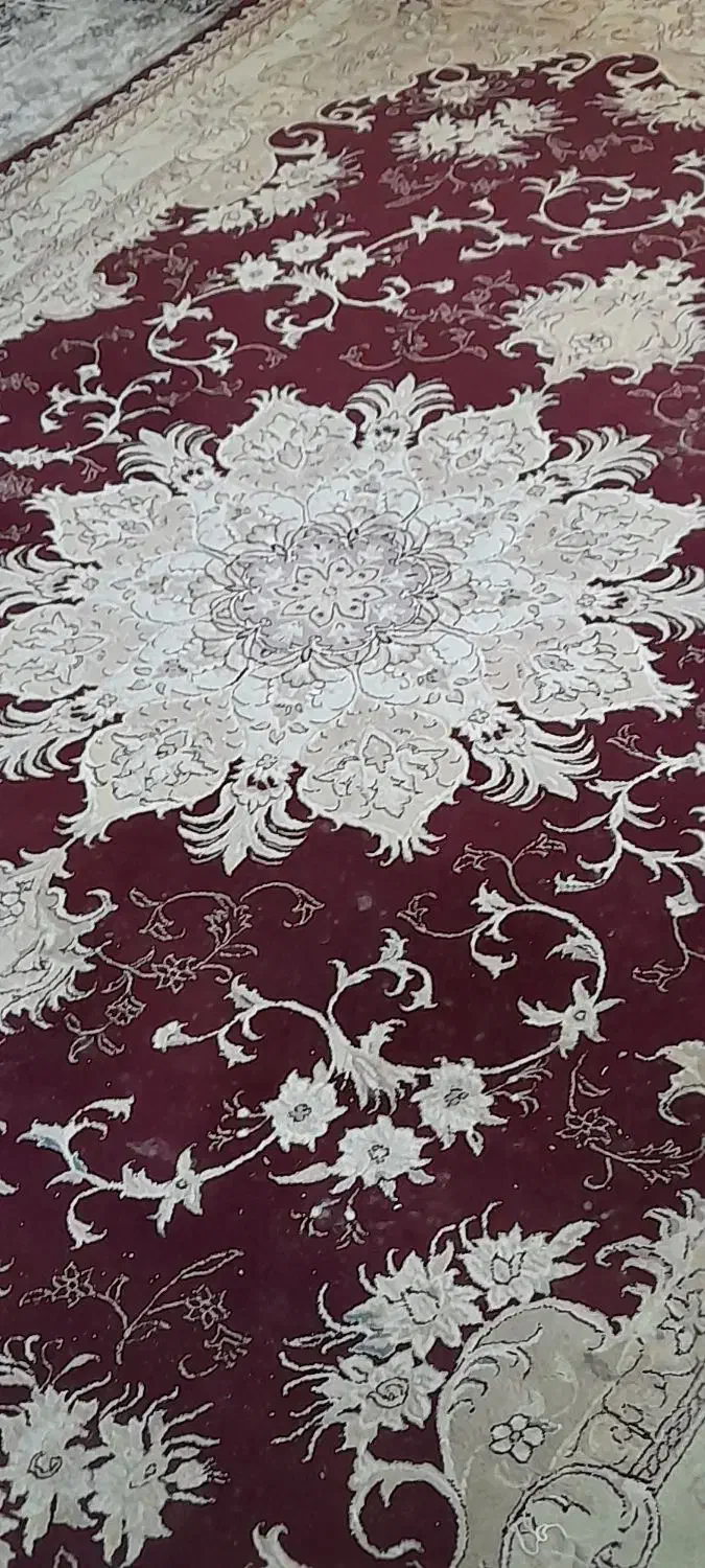 فرش ۶ متری ۳ جفت|فرش|کلارآباد, |دیوار