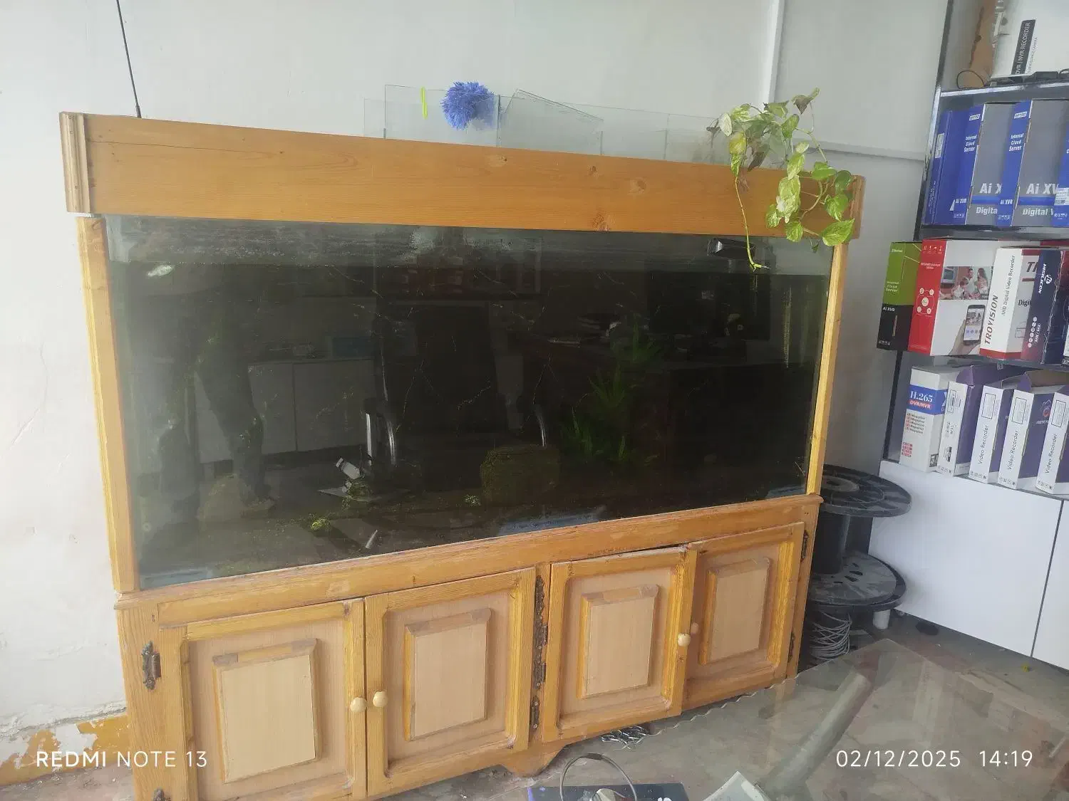 اکواریم بزرگ و زیبا|ماهی|خمین, |دیوار