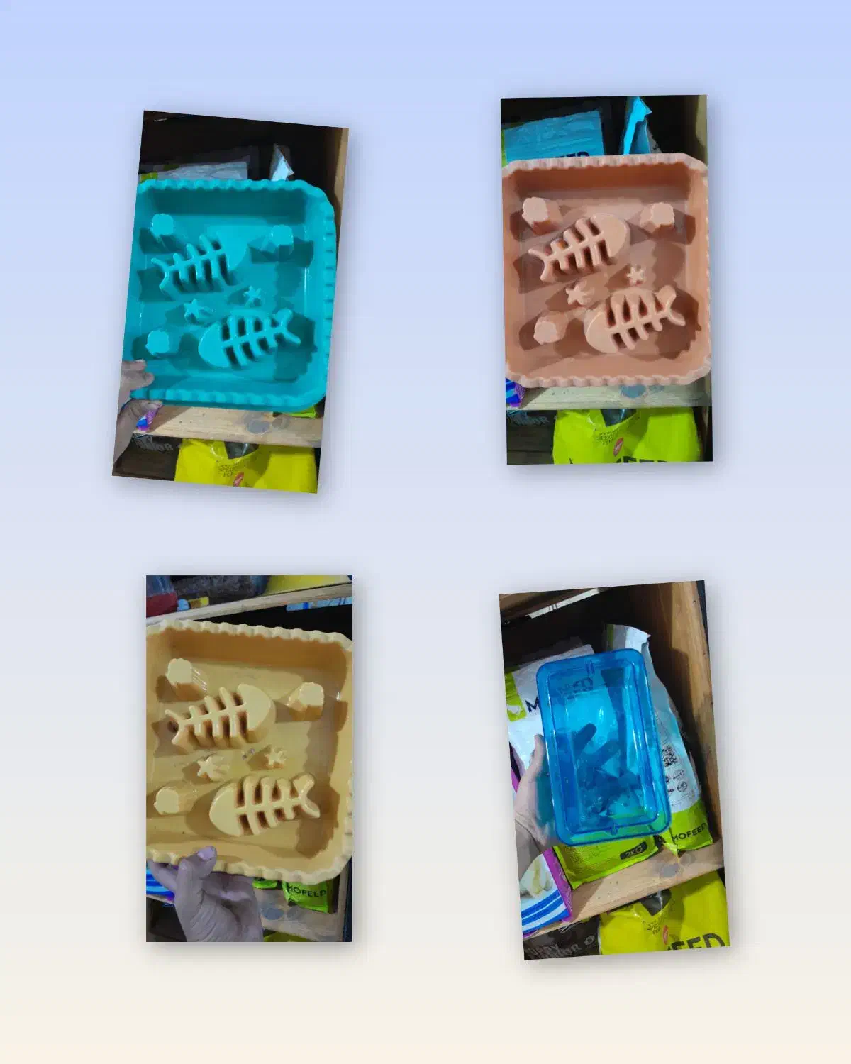 پت شاپ ماهور|لوازم جانبی حیوانات|تهران, افسریه شمالی|دیوار