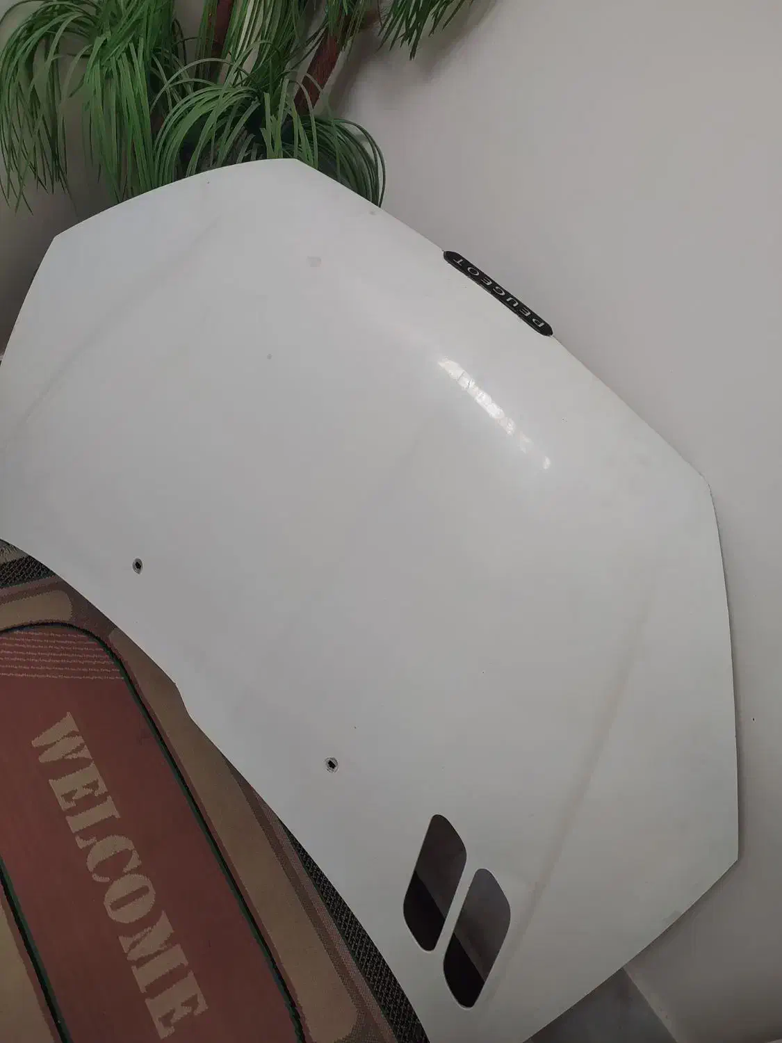 لوازم ۲۰۶ کاپوت و گلگیر|قطعات یدکی و لوازم جانبی|اصفهان, شهرک کاوه|دیوار