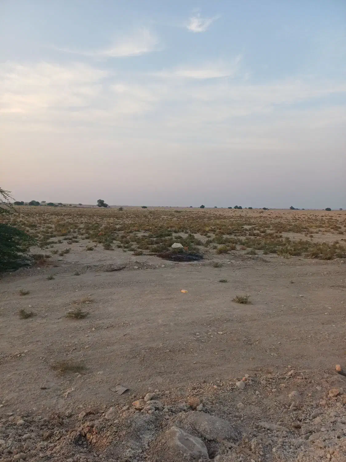 زمین|فروش دفتر صنعتی، کشاورزی، تجاری|چغادک, |دیوار