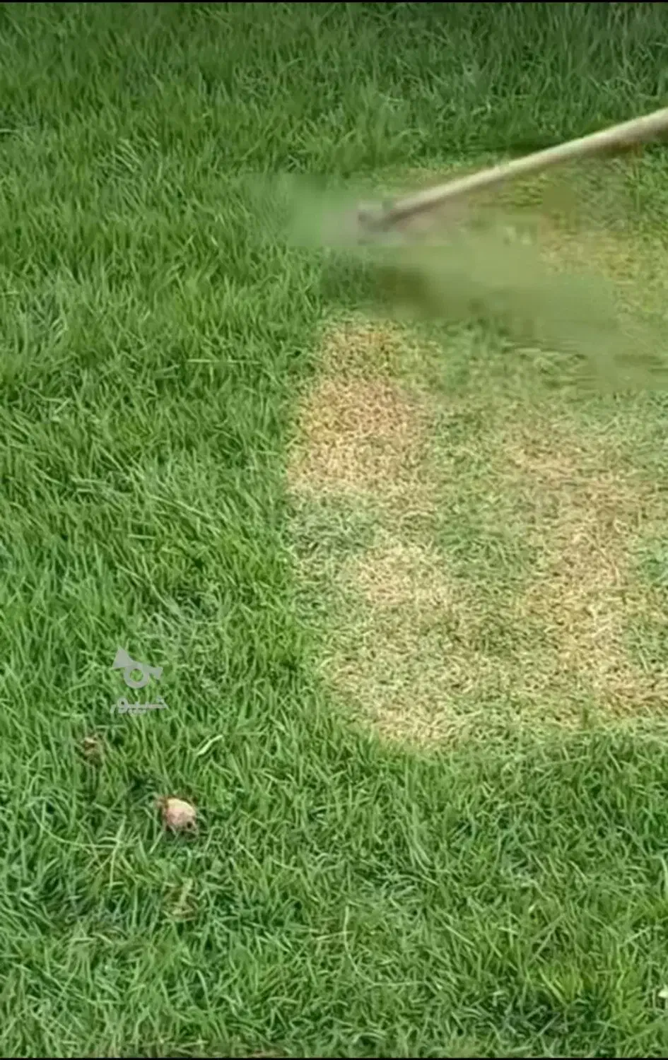 علفتراشی و حرس علفهای حرض باغ و مزارع|خدمات باغبانی و درختکاری|لنگرود, |دیوار