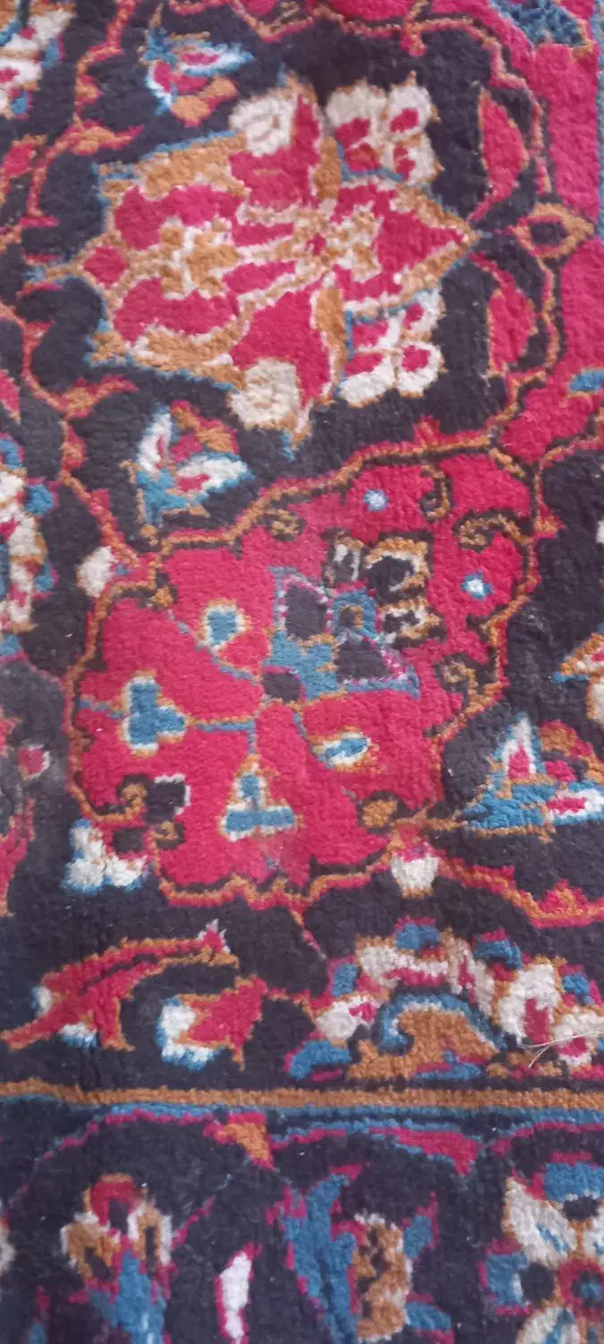 قالی ۳×۴|فرش|اردکان, |دیوار