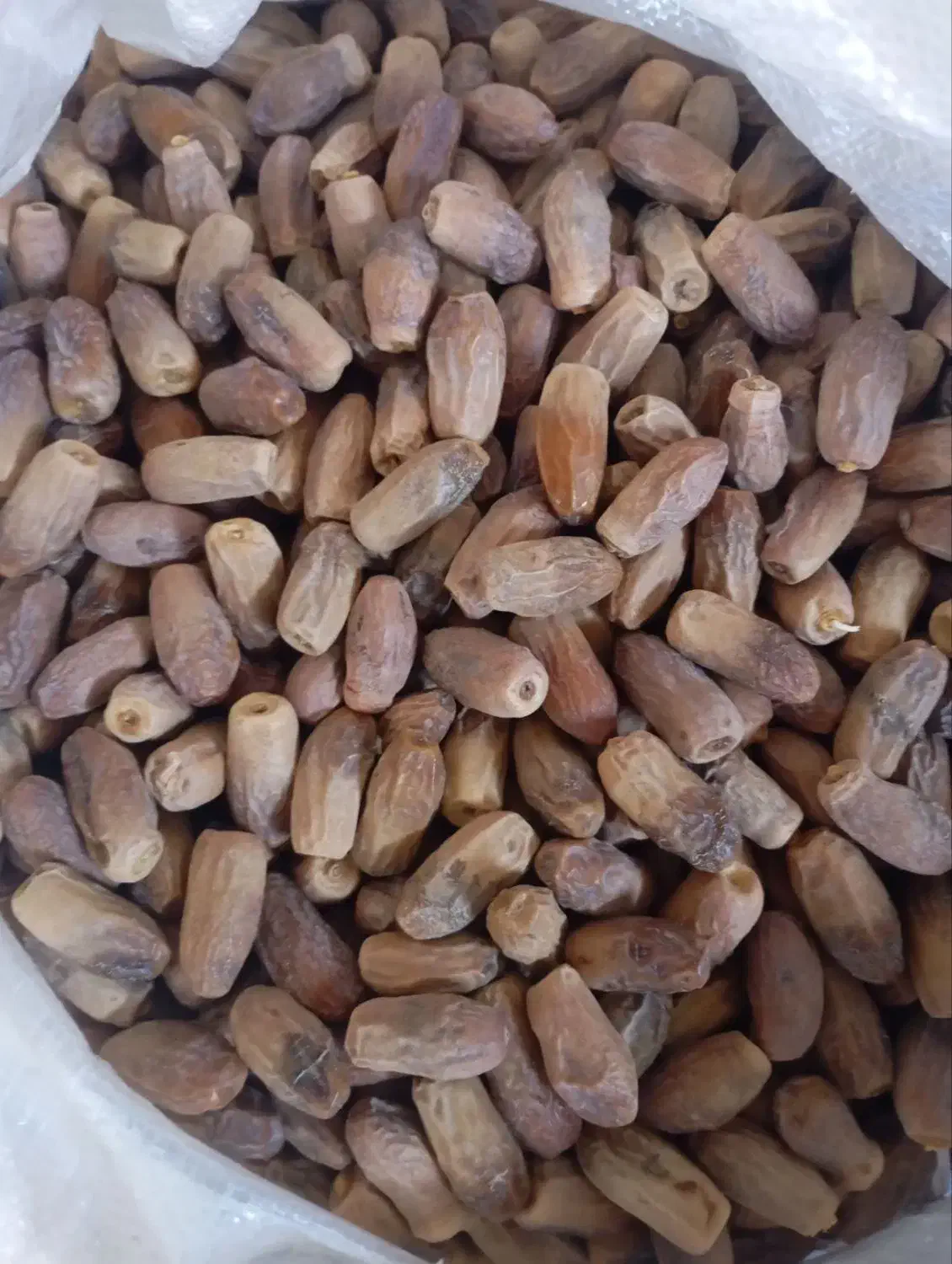 فروش ۱۰۰کیلوخرما قندشکن تروتازه|خوردنی و آشامیدنی|ریگان, |دیوار